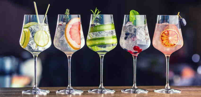 Quel Gin prendre pour Gin and Tonic?